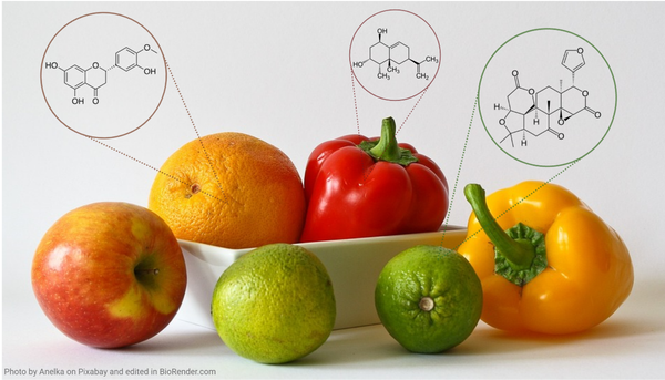 Classification of food phytochemicals